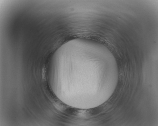 X0000068860130200606021810