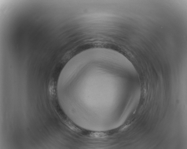 X0000068860137200606021810