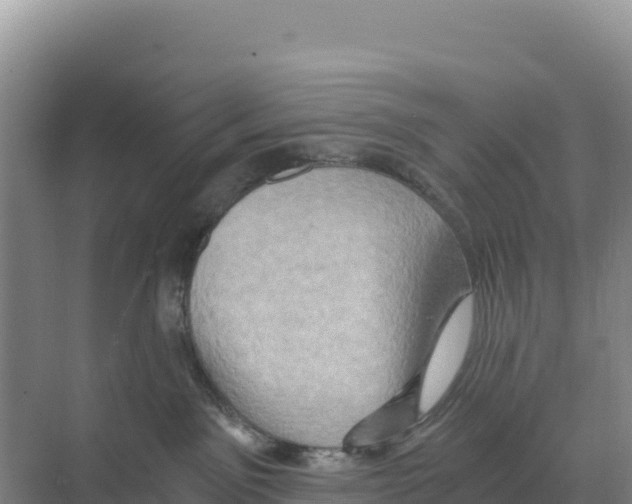 X0000068860141200606021810