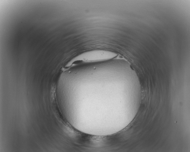 X0000068860142200606021810