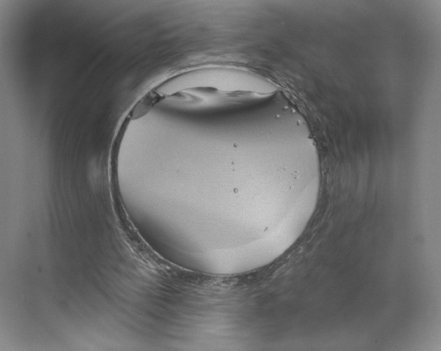 X0000068860148200606021809