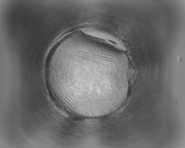 X0000068860150200606021810