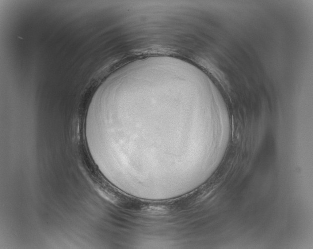X0000068860157200606021810