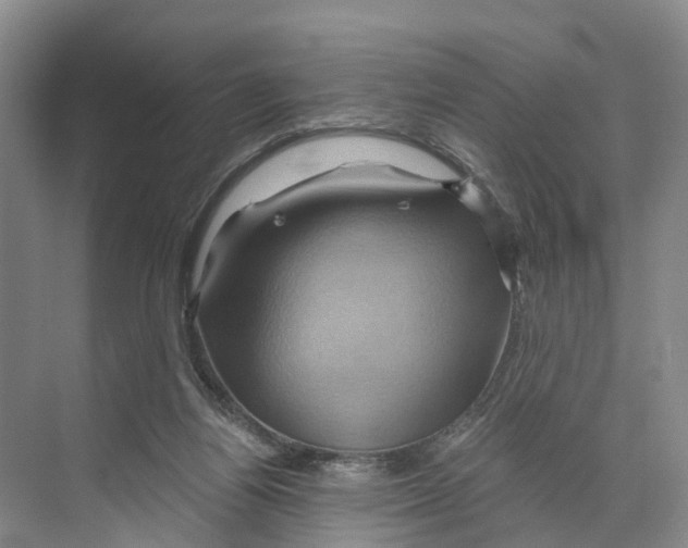 X0000068860164200606021810