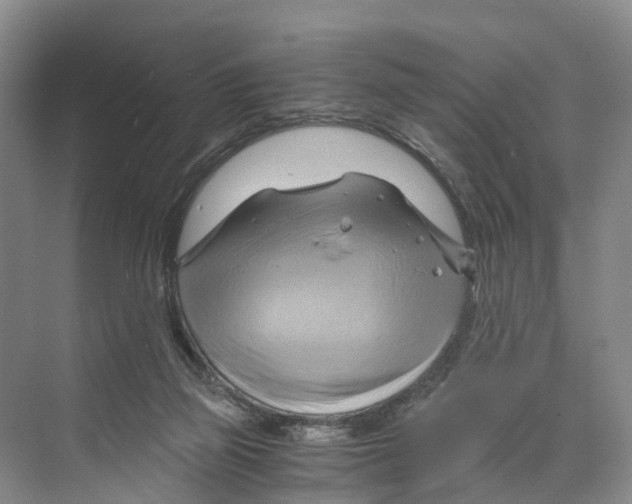 X0000068860165200606021810