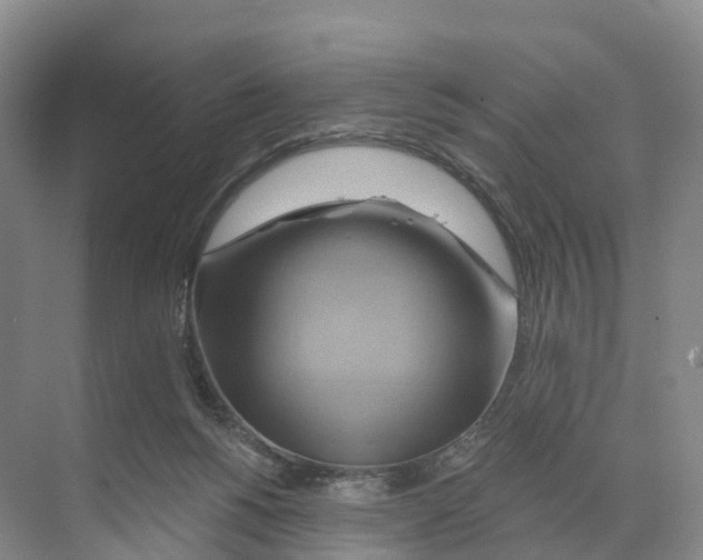 X0000068860168200606021810