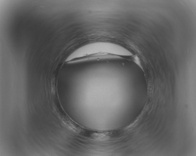 X0000068860170200606021810