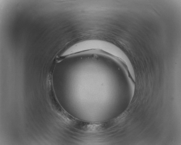 X0000068860172200606021810