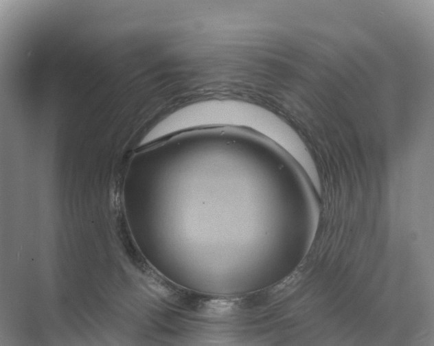 X0000068860176200606021810
