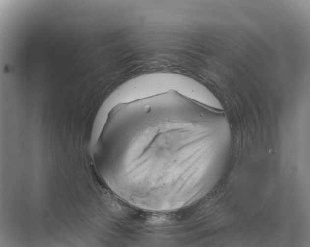 X0000068860177200606021810