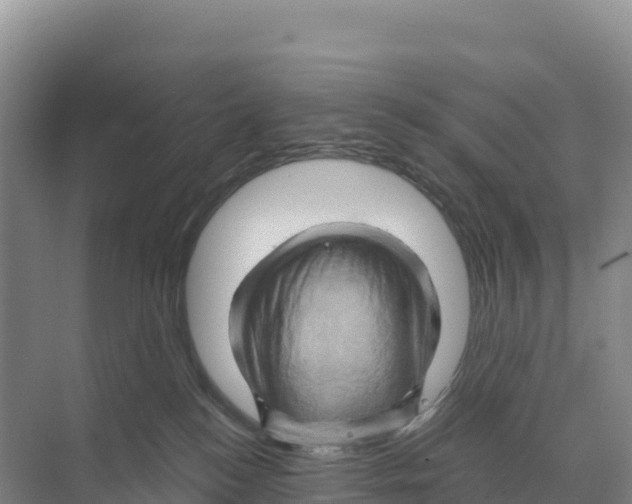 X0000068860184200606021810