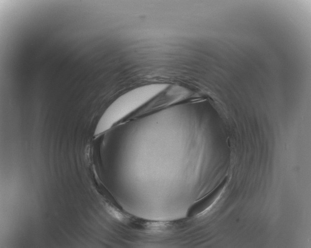 X0000068860192200606021810