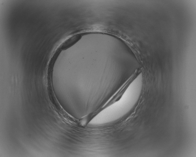 X0000068860200200606021809
