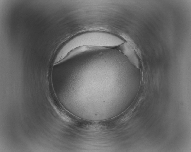 X0000068860201200606021809