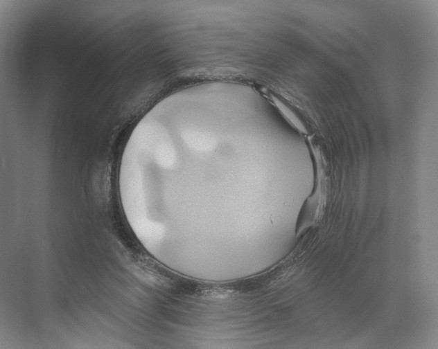 X0000068860206200606021809