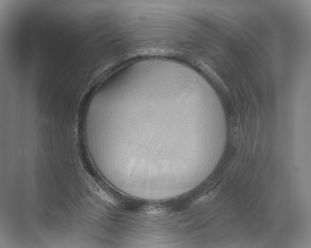 X0000068860207200606021809