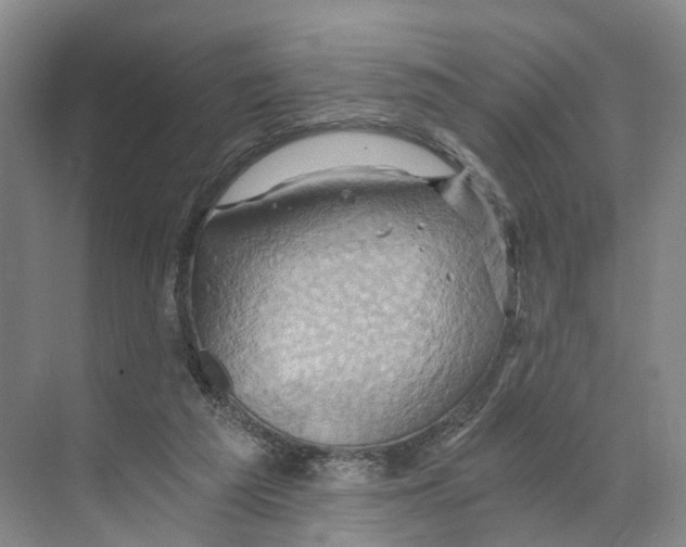 X0000068860209200606021809