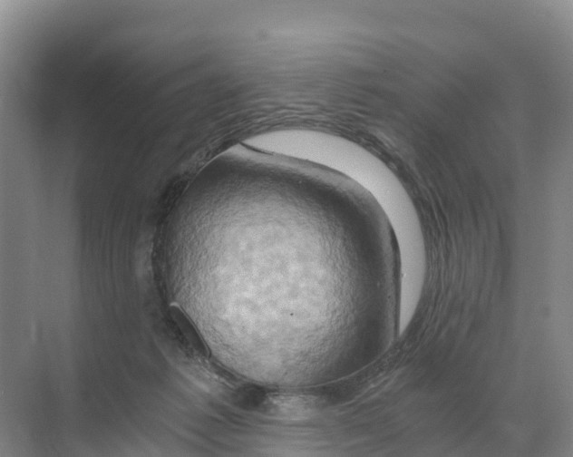X0000068860221200606021809