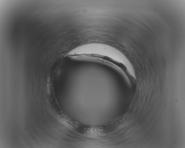 X0000068860223200606021809