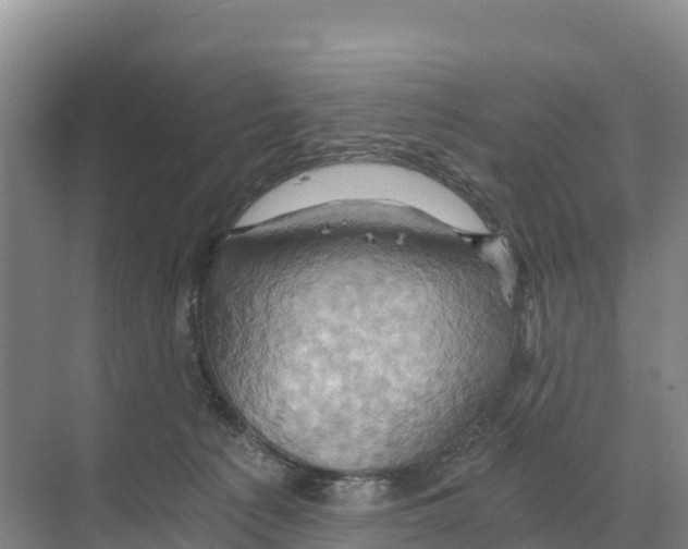 X0000068860225200606021809