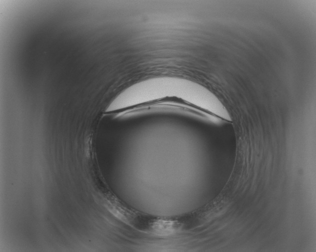 X0000068860227200606021809