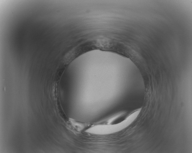 X0000068860233200606021809
