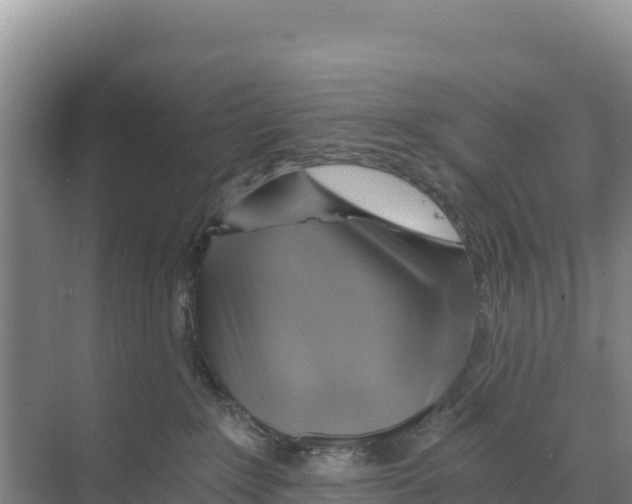 X0000068860235200606021809