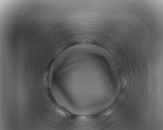 X0000068860239200606021809