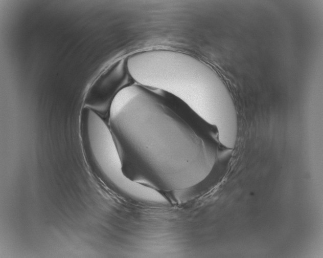 X0000068860244200606021808