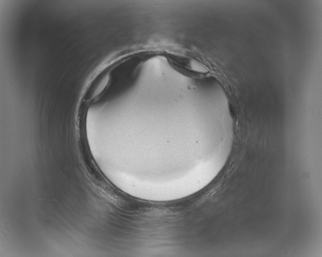 X0000068860246200606021808