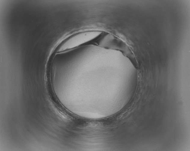 X0000068860248200606021808
