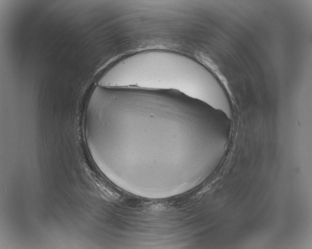 X0000068860249200606021808
