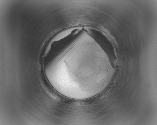 X0000068860250200606021808