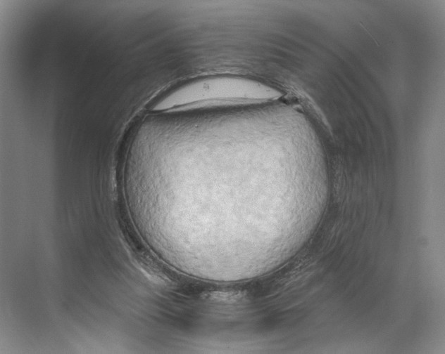 X0000068860251200606021808