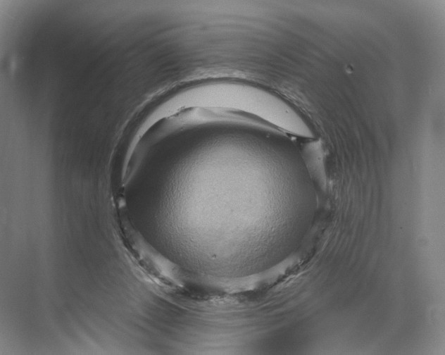 X0000068860256200606021808