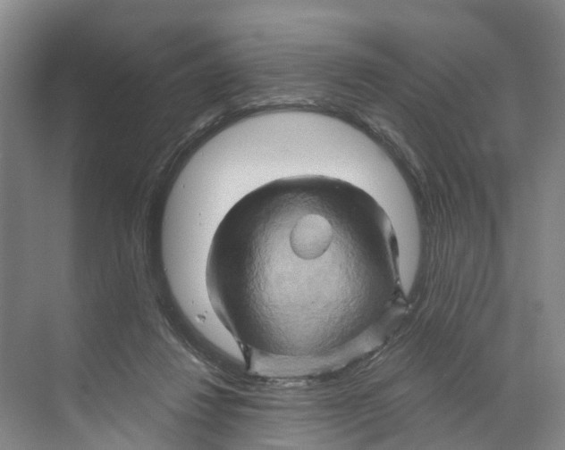 X0000068860260200606021808