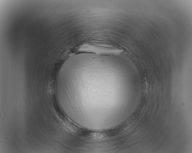 X0000068860272200606021808