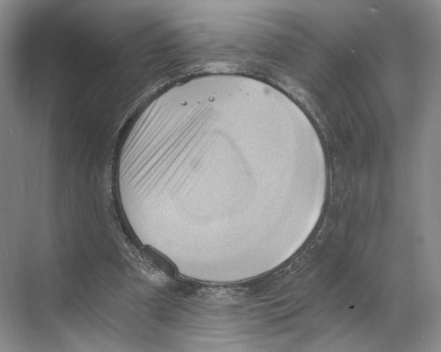 X0000068860297200606021808