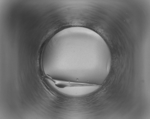 X0000068860299200606021808
