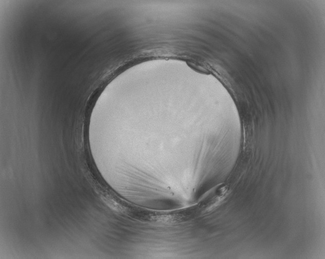 X0000068860301200606021808