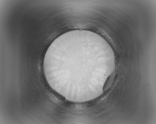 X0000068860305200606021808