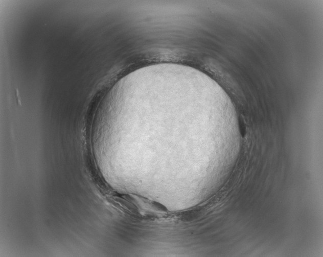 X0000068860306200606021808