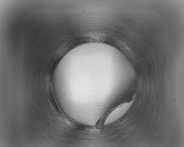 X0000068860318200606021807