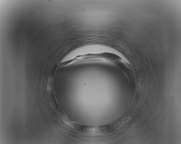 X0000068860325200606021807