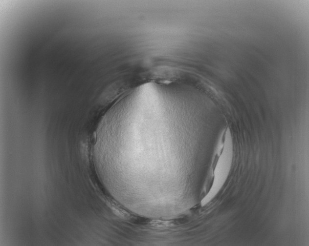 X0000068860333200606021807