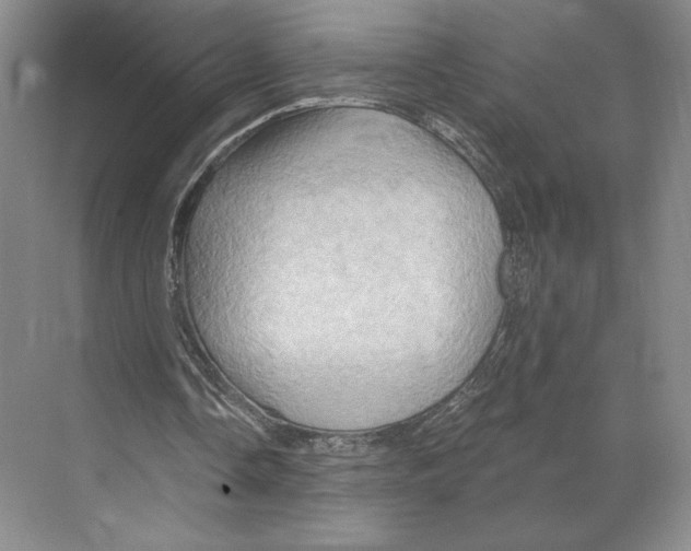 X0000068860338200606021806