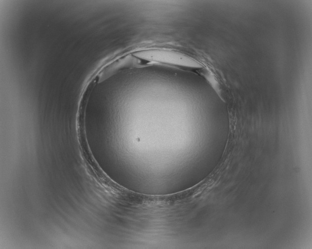X0000068860340200606021806