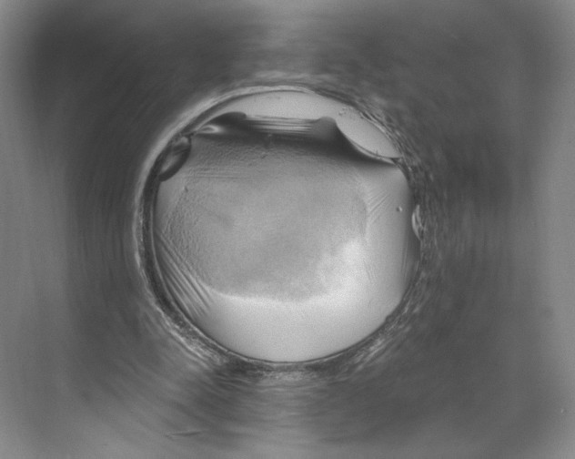 X0000068860342200606021806