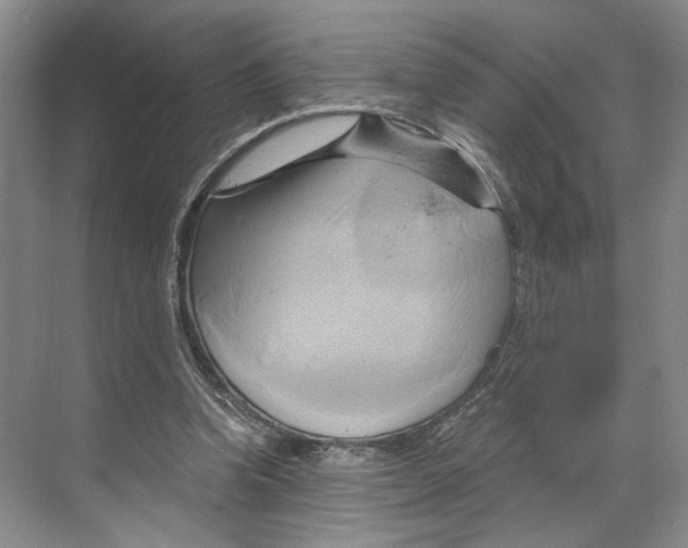 X0000068860346200606021806