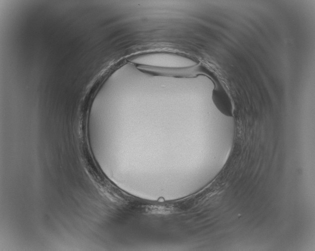 X0000068860347200606021806